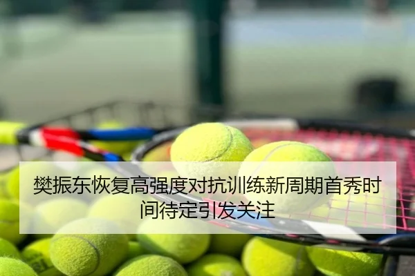 樊振东恢复高强度对抗训练新周期首秀时间待定引发关注